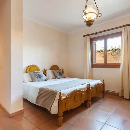 S'olivera Sa Coma (Mallorca)